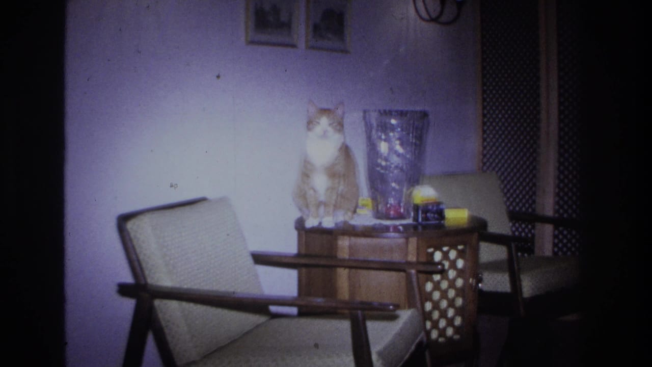 Orange-and-white tabby cat sitting upright on a mid-century wooden end table with lattice shelf, beside a faceted glass vase; 1966 8mm home-movie interior, Hoboken, New Jersey.