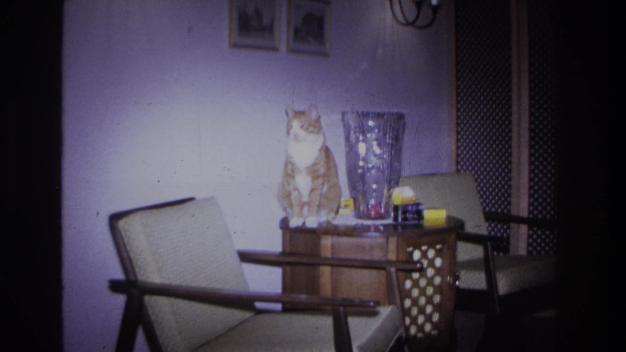 Tabby cat seated upright on a mid-century end table beside a faceted glass vase; 1966 8mm home-movie frame from a private interior in Hoboken, New Jersey.