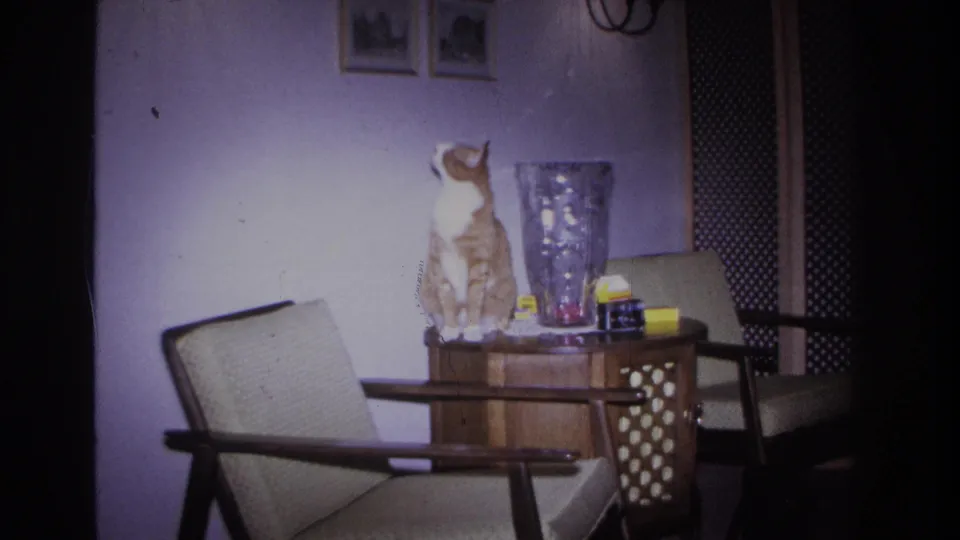 Tabby cat turning on a mid-century wooden end table, head angled aside, with a faceted glass vase and lattice-shelf furniture; 1966 8mm home-movie interior.