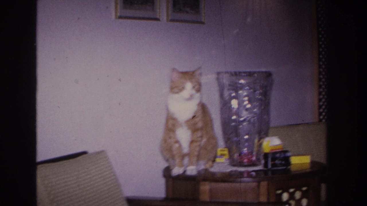 Orange tabby cat sitting alert on a mid-century wooden side table beside a faceted glass vase in a 1960s domestic interior, Hoboken, New Jersey, 1966.