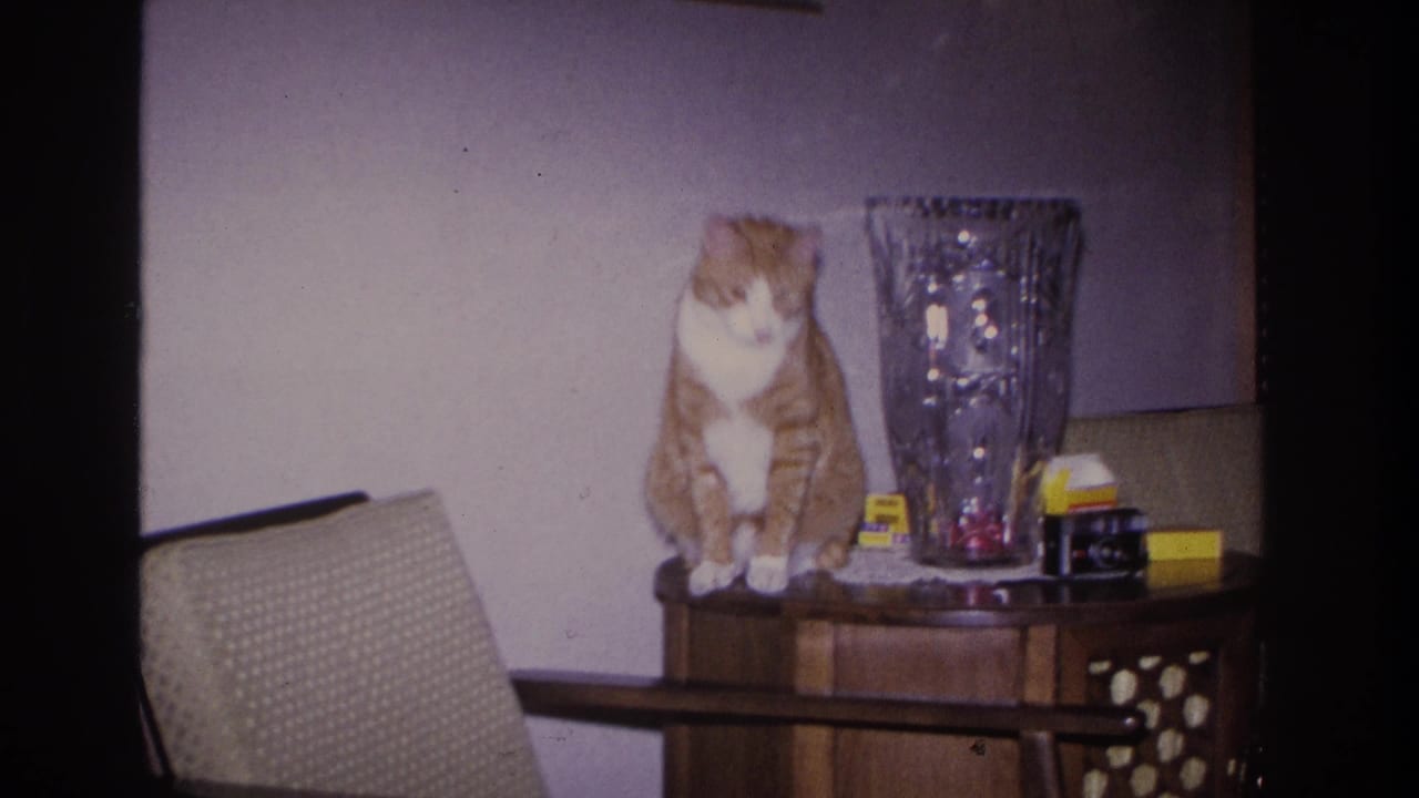 Orange tabby cat still seated on the wooden table, beginning to shift its weight, with a faceted glass vase and small items visible behind it.