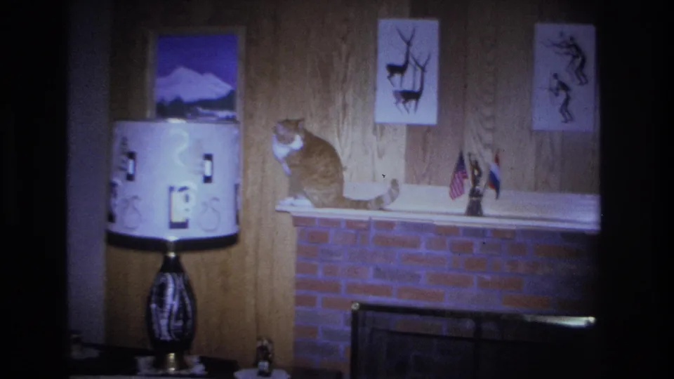 Orange tabby cat perched on a brick mantel in a wood-paneled 1960s living room, with a drum-shade floor lamp, silhouette animal prints, and small flags on display.