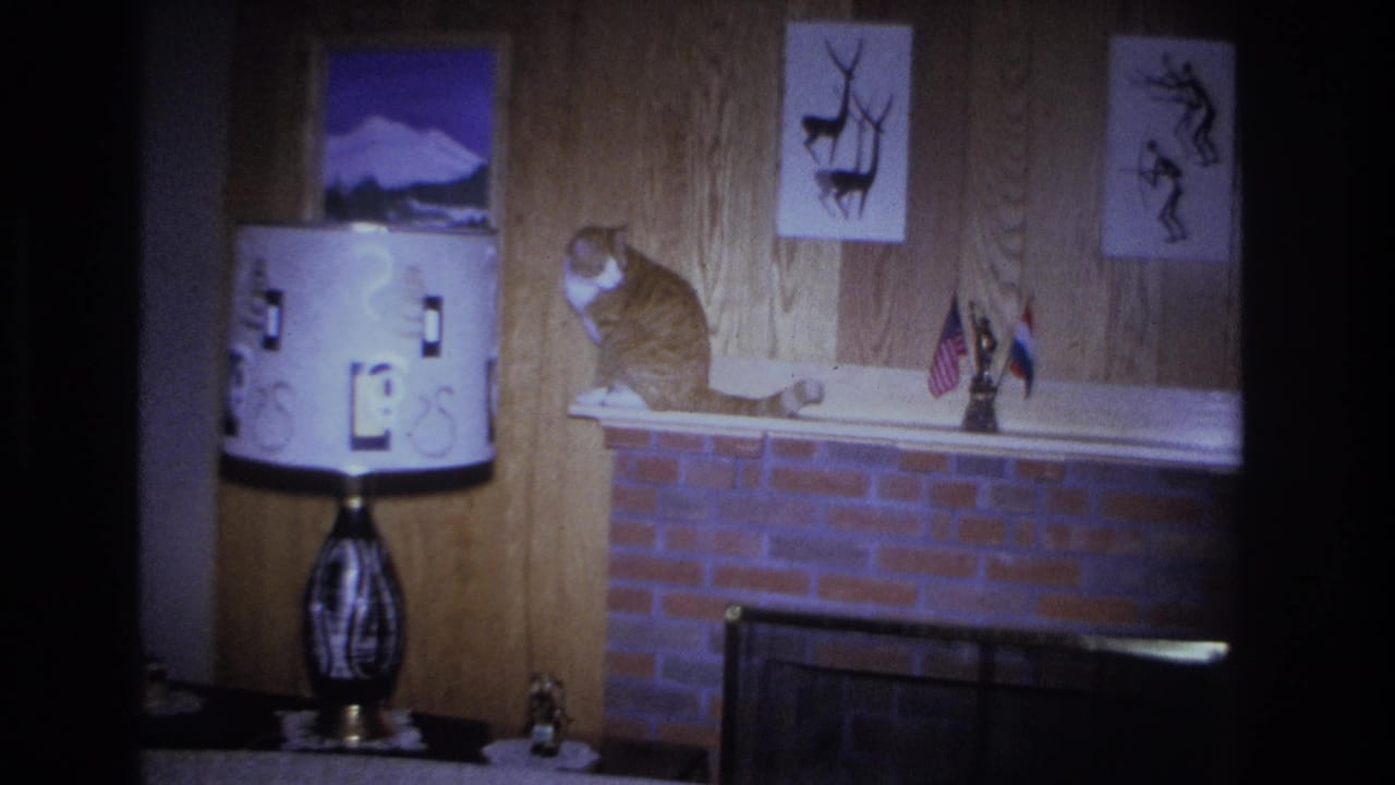 Orange tabby cat seated on a brick fireplace mantel in a 1966 Hoboken, New Jersey living room, beside a graphic-shade drum lamp; deer silhouette prints and small American and Dutch flags on wall.