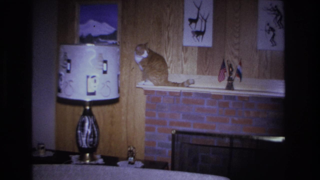 Orange tabby cat on fireplace mantel turned slightly, beside drum lamp; wood-paneled wall with framed prints and small flags visible.