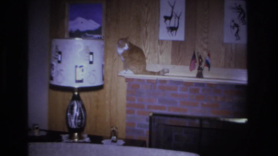 Orange tabby cat on brick mantel in a mid-1960s American living room, beside a ceramic-base drum lamp; mountain landscape and deer silhouette prints on wood-paneled wall.