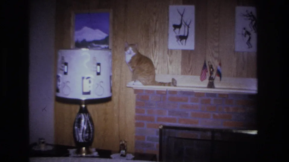 Orange tabby cat resting on brick fireplace mantel in a 1960s American domestic interior; large drum lamp with graphic shade, deer silhouette wall prints, and small national flags visible.
