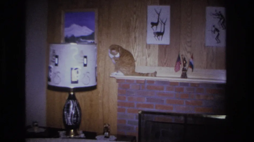 Orange tabby cat looking downward from brick fireplace mantel in a 1960s American living room; graphic drum lamp, deer silhouette prints, and small national flags visible on wood-paneled wall behind.