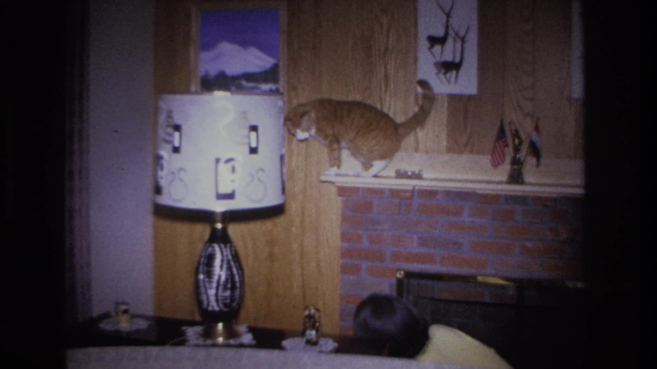 Orange tabby cat on the mantel of a brick fireplace in a mid-1960s wood-paneled living room in what may be Hoboken, New Jersey; patterned lamp and small flags visible nearby.