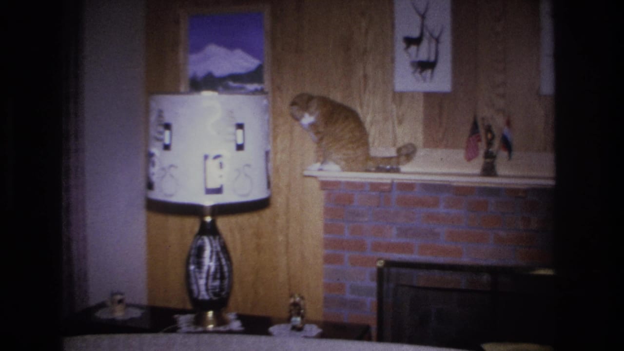 Orange tabby cat on a fireplace mantel looking toward frame right; patterned lamp and small flags visible on the mantel.