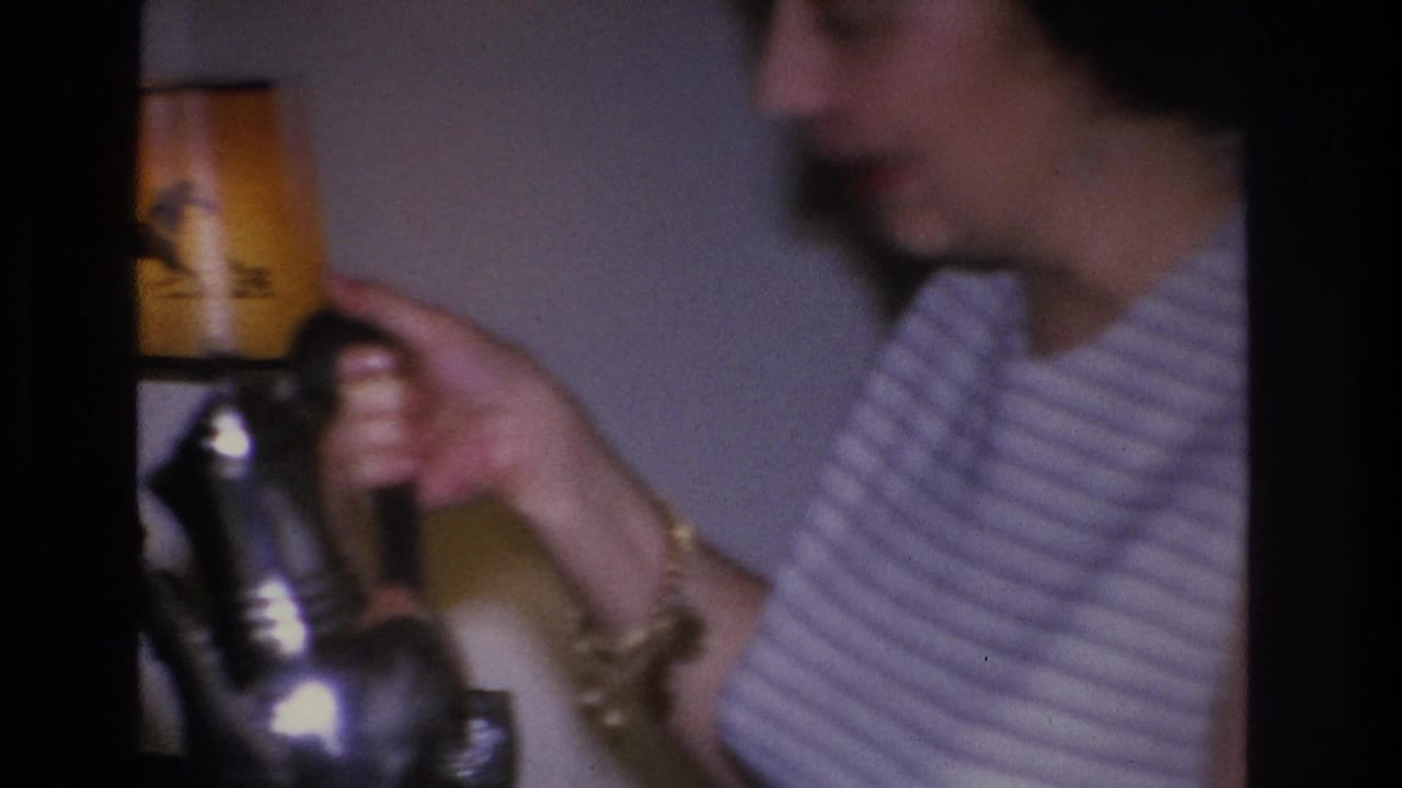 Close-up of a woman's torso and hands holding a silver teapot in what appears to be a 1966 Hoboken, New Jersey living room; horse-motif lamp shade at upper left.