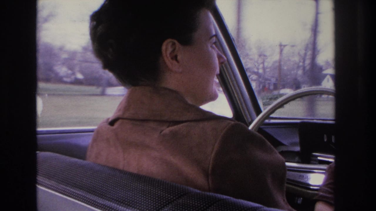 Woman in brown coat at the steering wheel, partial profile visible; 1960s chrome dashboard trim and bare trees through the rear window.