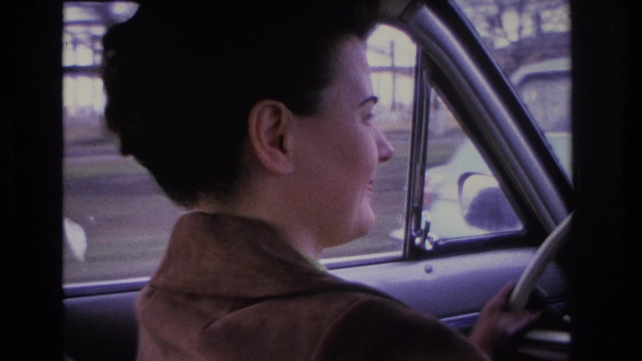 Dark-haired woman in 1960s updo and brown jacket driving a classic American car, seen in profile from the passenger seat, Hoboken, New Jersey, circa 1966.