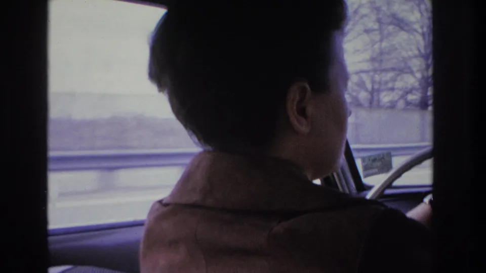 Rear three-quarter view of woman driver with dark 1960s upswept hair and brown jacket, bare tree branches outside car window suggesting fall or winter, possible window sticker visible at lower frame, 8mm home movie circa 1966.