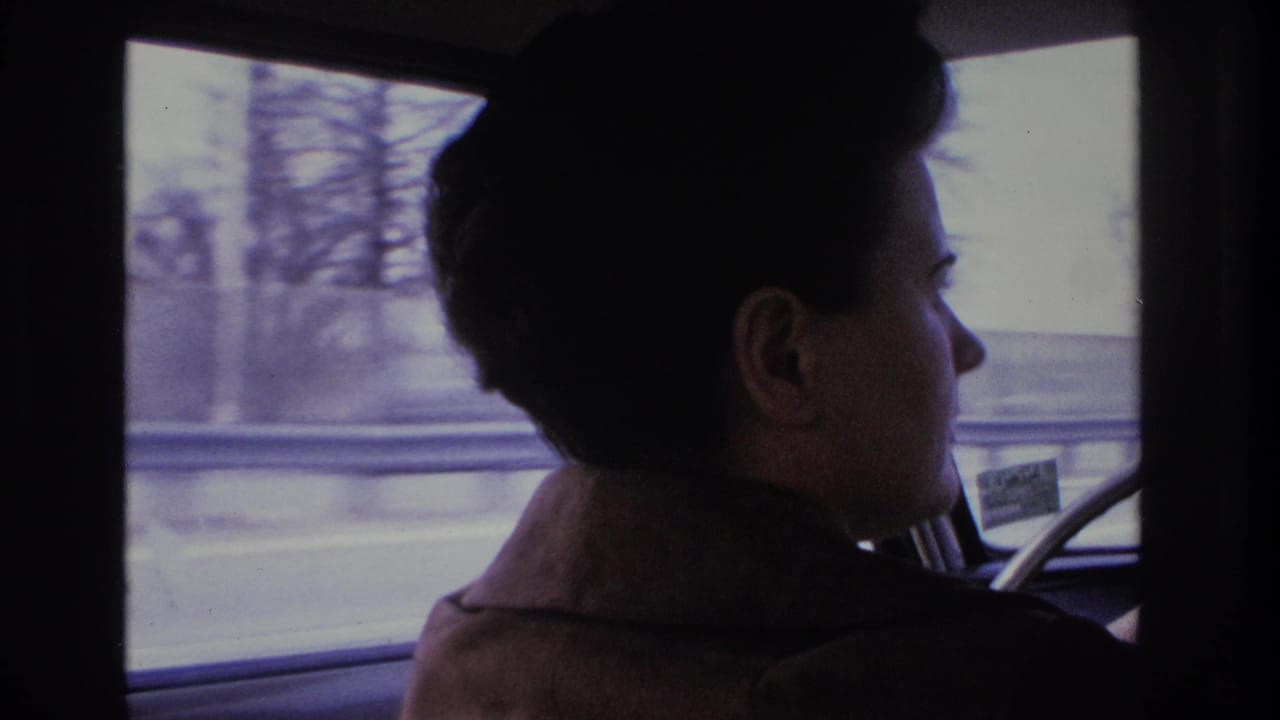 Rear-profile view of a woman with 1960s-styled dark hair in a brown coat at the steering wheel; highway overpass and bare trees through windshield, circa 1966.