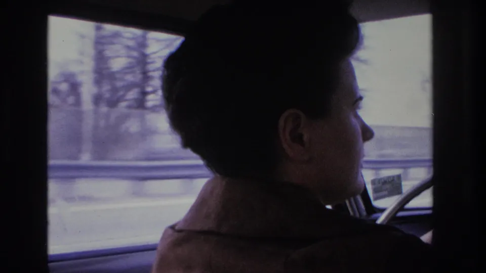 Rear-profile view of a woman with 1960s-styled dark hair in a brown coat at the steering wheel; highway overpass and bare trees through windshield, circa 1966.