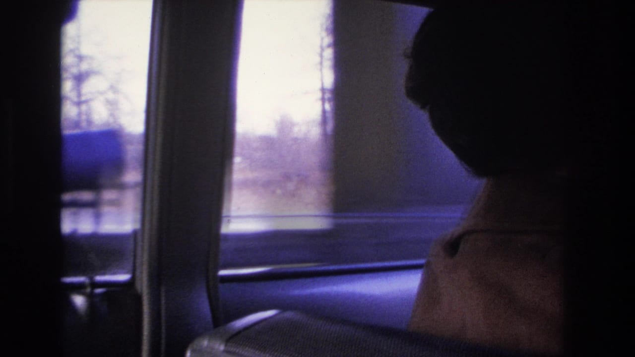 Dark silhouette of a woman at the wheel, photographed from the back seat in 8mm home movie footage circa 1966, bare winter trees and a utility tower visible through the window.