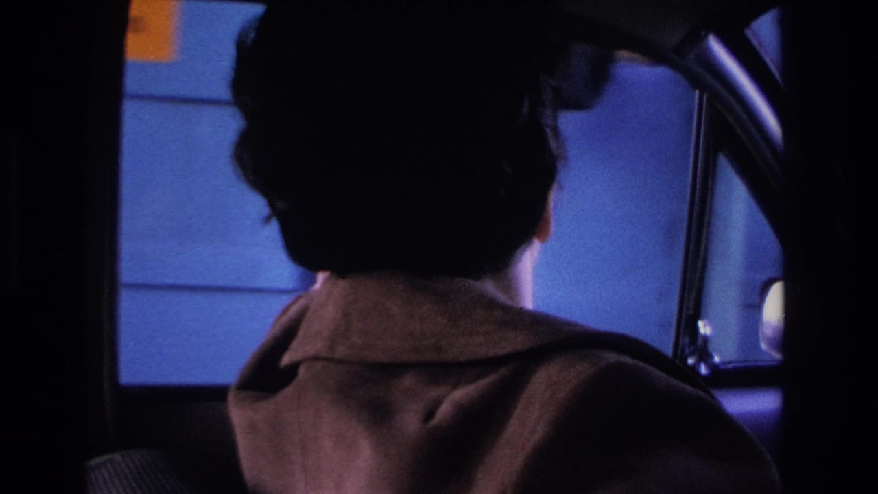 1966 8mm home movie, New Jersey: woman driver in brown wool coat viewed from rear, cool blue ambient light through car window.