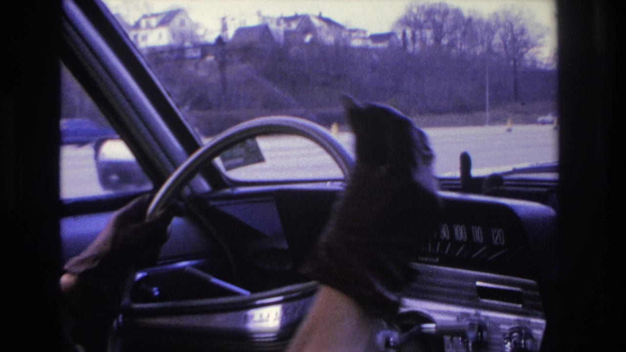 Woman at the wheel with her gloved hand raised near the dashboard.