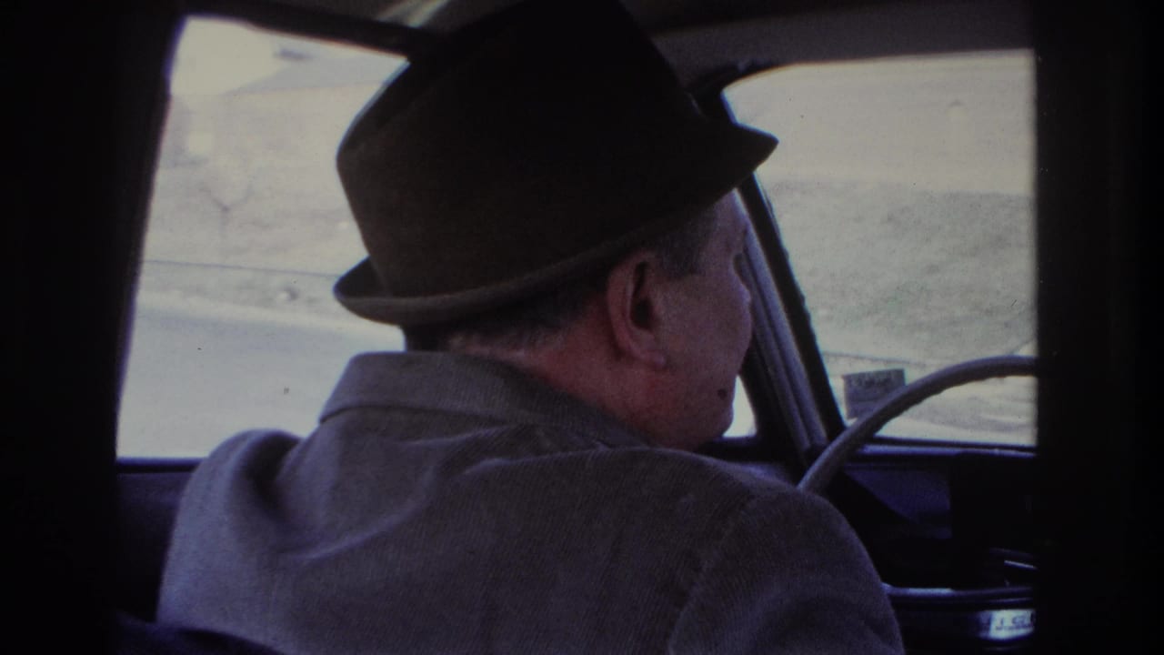 Home-movie frame from the back seat showing the driver, fedora brim, jacket, steering wheel, and blurred roadside beyond the window.