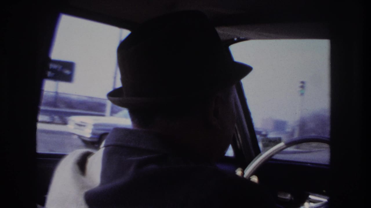 Driver in profile at the wheel with a traffic signal and cars visible outside.