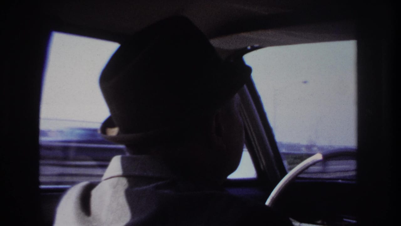 Final frame shows the driver in silhouette at the wheel, with pale daylight and blurred roadside scenery outside the car window.