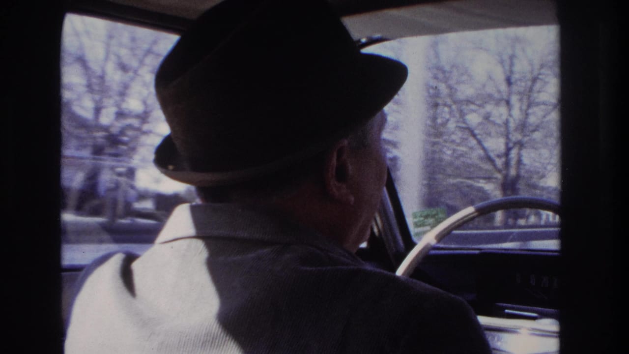 Backseat view in a 1966 Hoboken car interior showing the driver at the wheel and blurred roadside trees ahead.