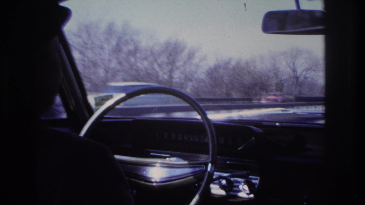Silhouetted driver and steering wheel with cars and bare trees beyond the windshield.