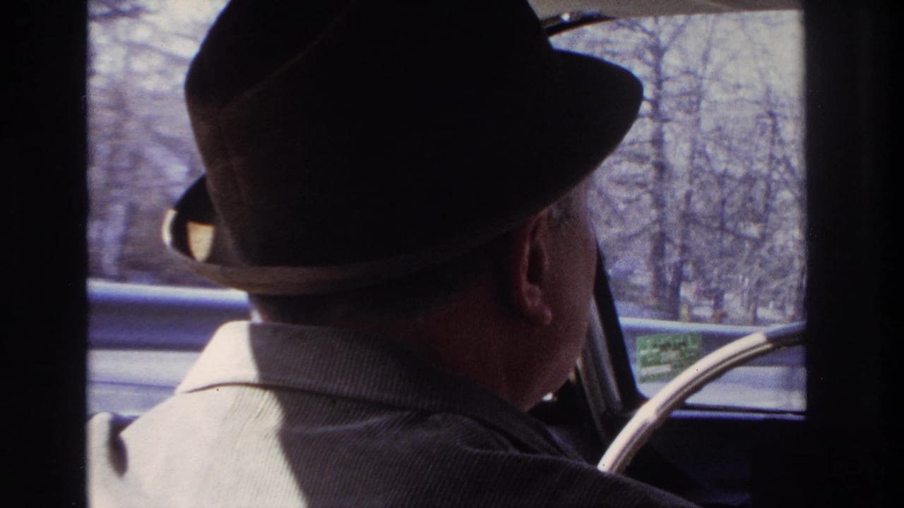 A fedora-wearing driver is seen from behind inside a car in Hoboken, with bare trees and roadside scenery outside the window.
