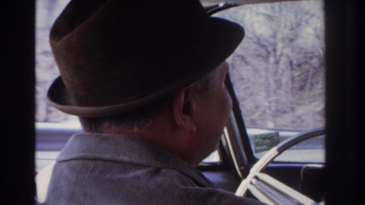 Adult driver in a brown fedora seen from behind and in profile inside a car, with bare trees visible through the window.