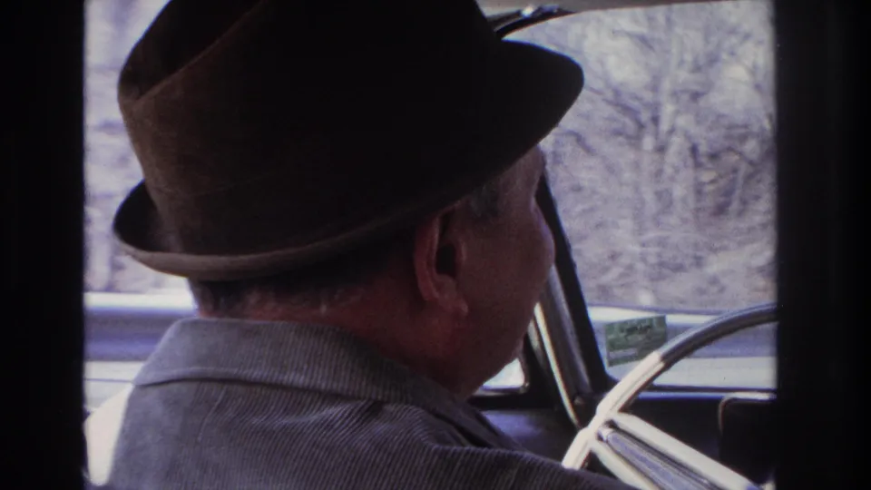 Adult driver in a brown fedora seen from behind and in profile inside a car, with bare trees visible through the window.