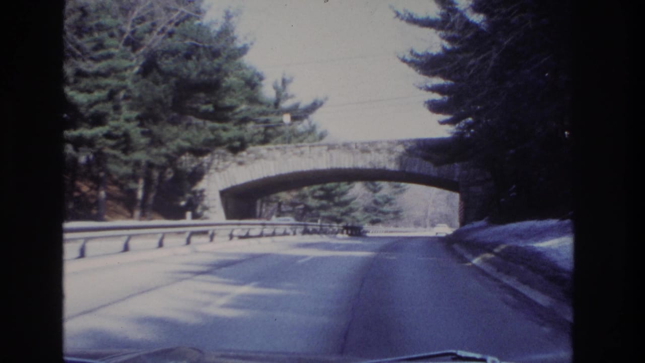 Forward road view from a moving car, with a stone arch bridge, guardrails, trees, and the car hood visible in 1966 metadata context.