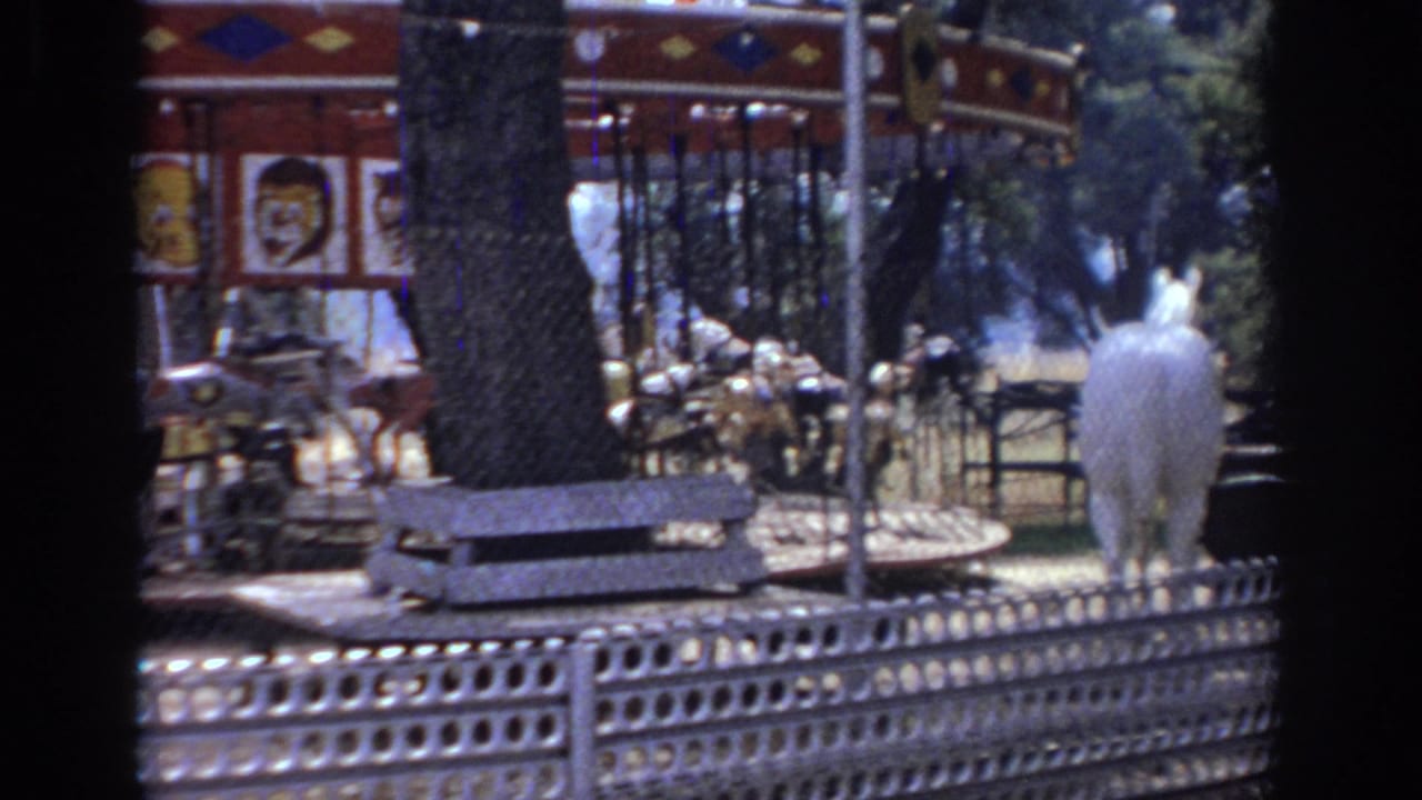 1966 Sacramento carnival footage showing a carousel section, animal figures, metal fencing, trees, and a white horse near the ride area.