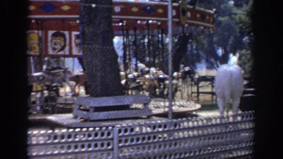 1966 Sacramento carnival footage showing a carousel section, animal figures, metal fencing, trees, and a white horse near the ride area.