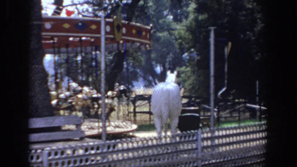 1966 Sacramento fairground view with carousel animals, a white horse near metal fencing, trees, and partial shadowed framing.