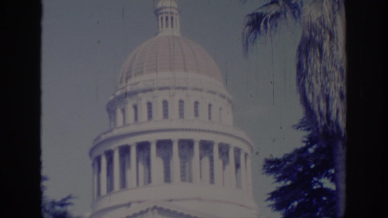 Low-angle view of a domed Capitol building with columns and palm trees.