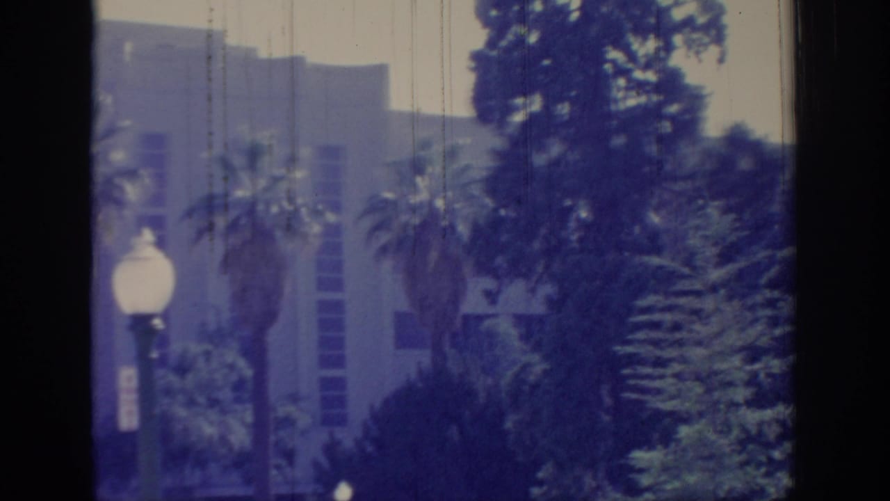 1966 Sacramento view of a pale building facade partly obscured by palms, trees, and a globe street lamp.