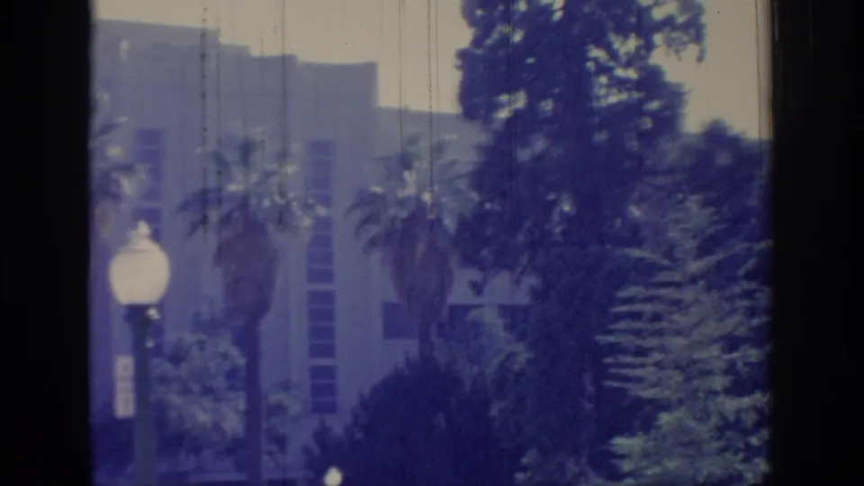 1966 Sacramento view of a pale building facade partly obscured by palms, trees, and a globe street lamp.