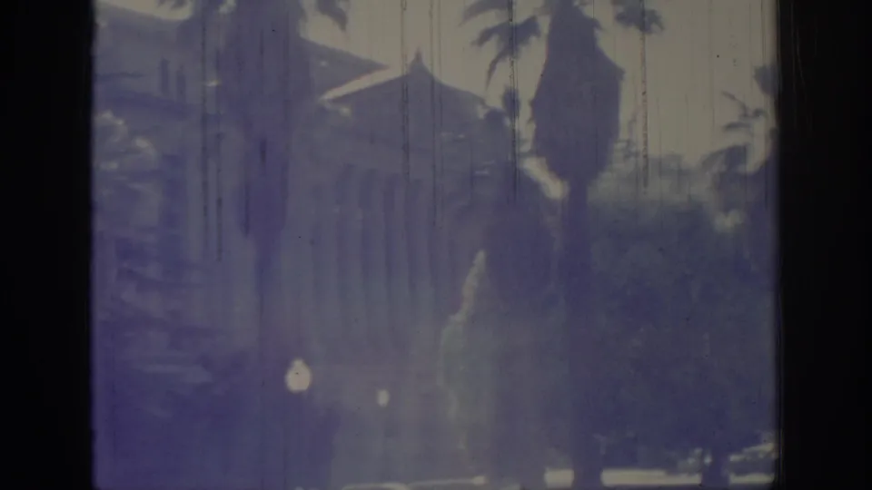 Soft 8mm frame of a Sacramento street in 1966 with tall palms, leafy greenery, and automobiles along a broad roadway.