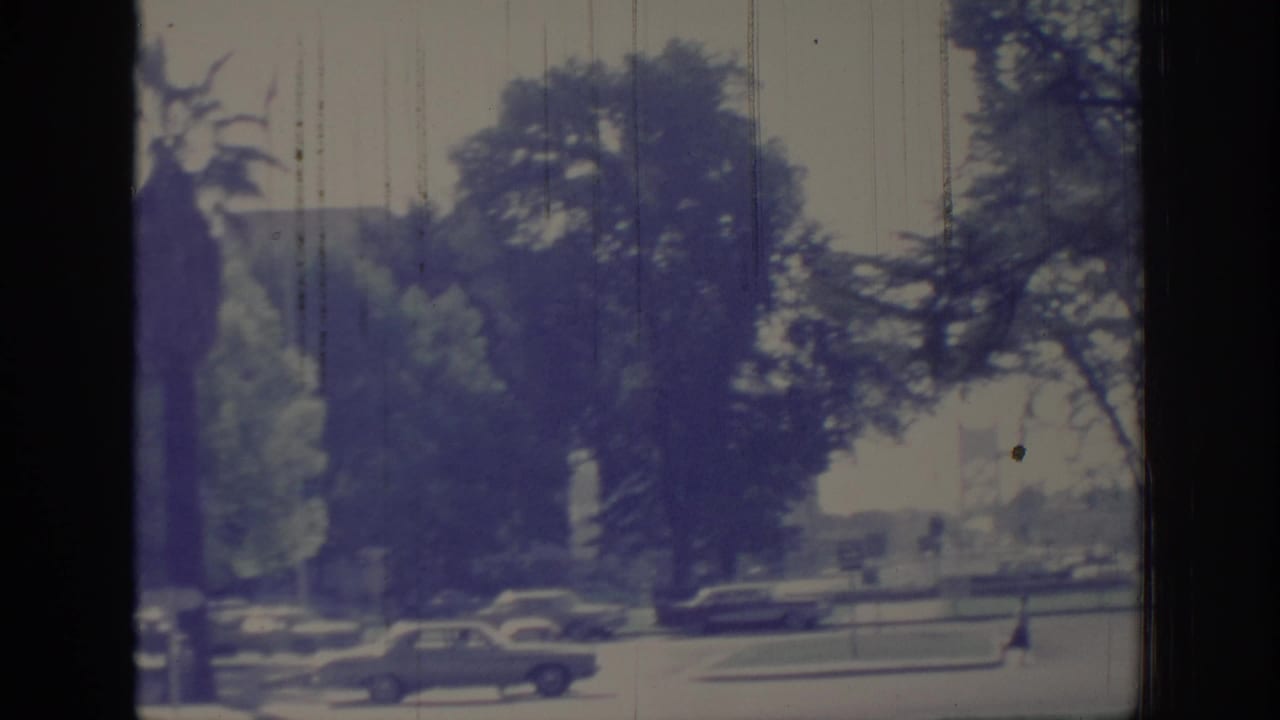 1966 Sacramento street scene with mid-century cars near a grassy median, large trees, and a small distant pedestrian figure.