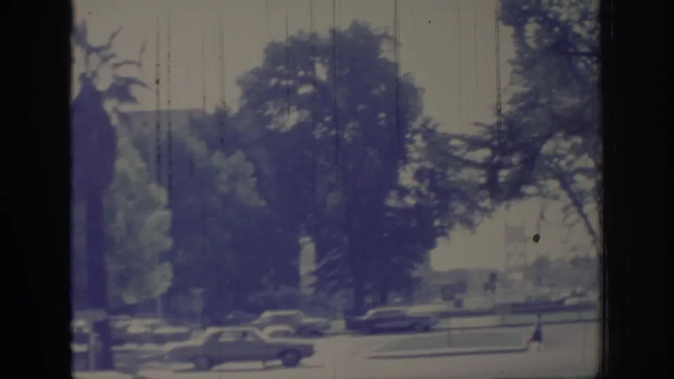 1966 Sacramento street scene with mid-century cars near a grassy median, large trees, and a small distant pedestrian figure.
