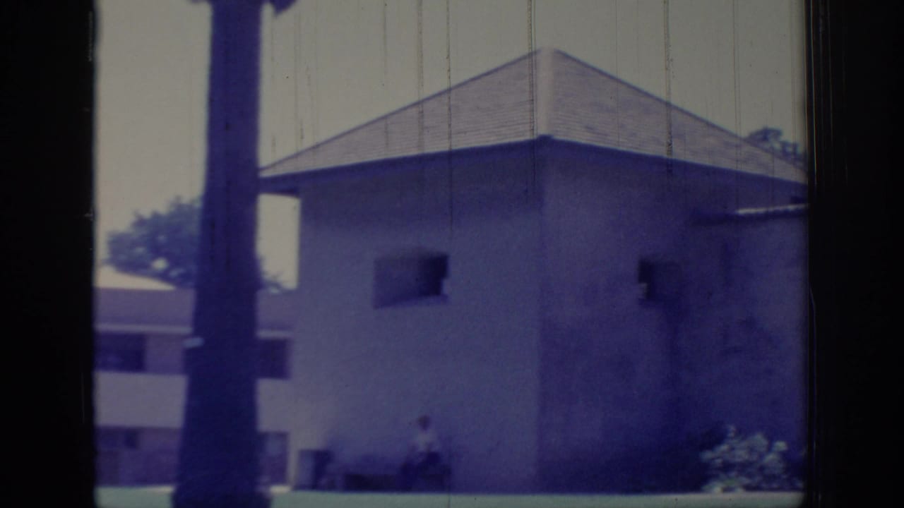 1966 Sacramento frame with a light building corner, gabled roof, palm trunk, and small openings seen through dark foreground framing.
