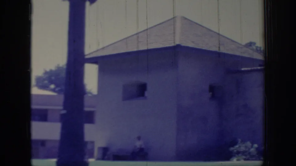 1966 Sacramento frame with a light building corner, gabled roof, palm trunk, and small openings seen through dark foreground framing.