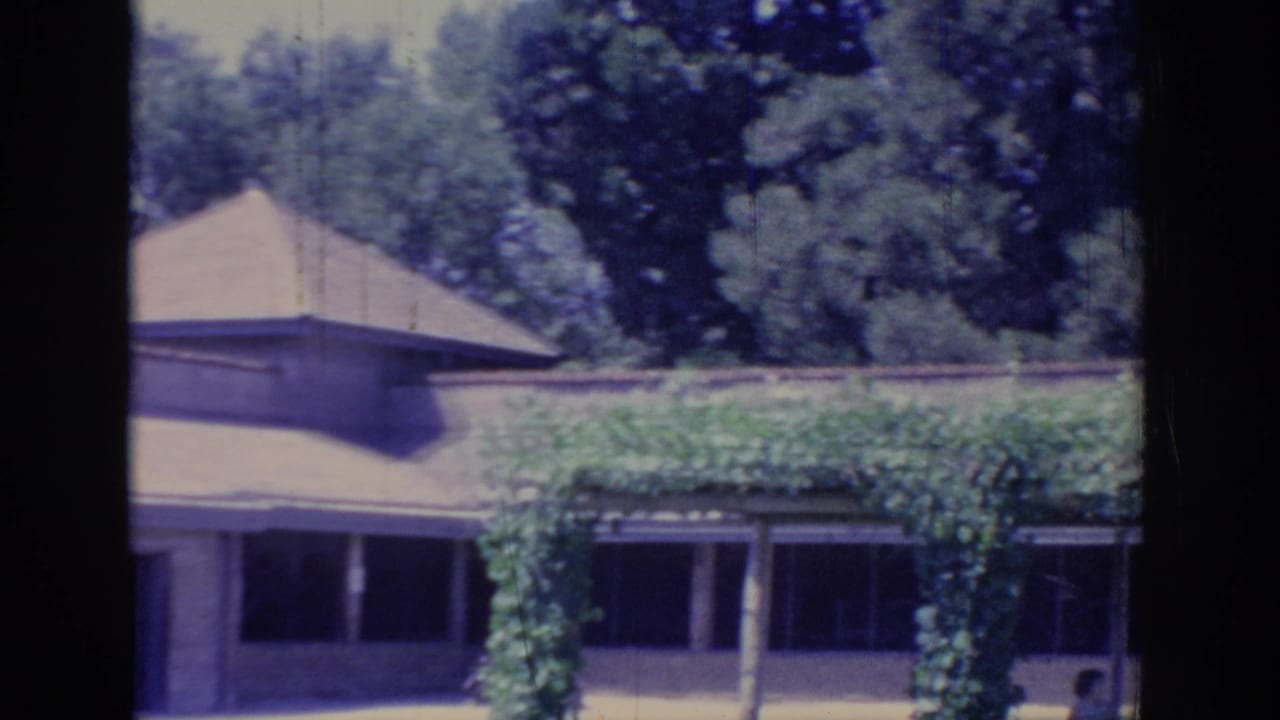Large house exterior with vines over a porch, shaded windows, trees, and dark frame borders.