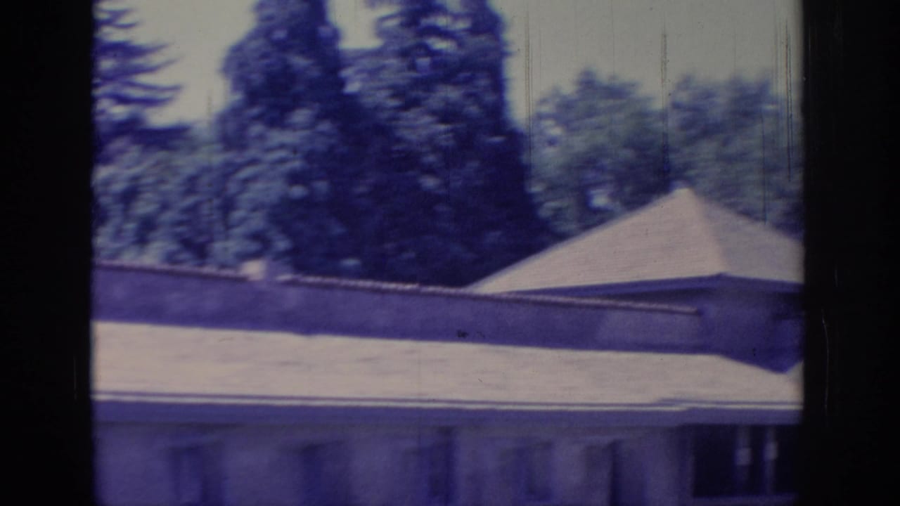 Sloped roof and upper house exterior with garden wall, trees, and dark vertical frame division.