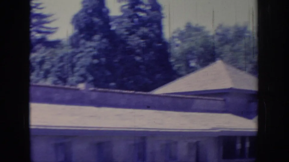 1966 Sacramento exterior view of a residential roofline, garden wall, shaded house facade, and tall trees seen through a dark frame division.
