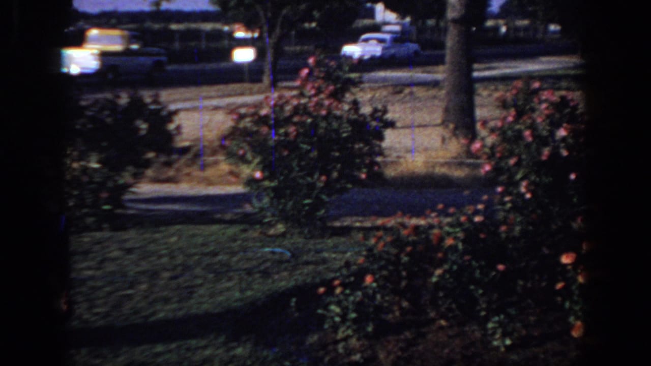 1966 Sacramento home-movie frame showing rose bushes, lawn, sidewalk, and passing cars viewed through a dark window frame.