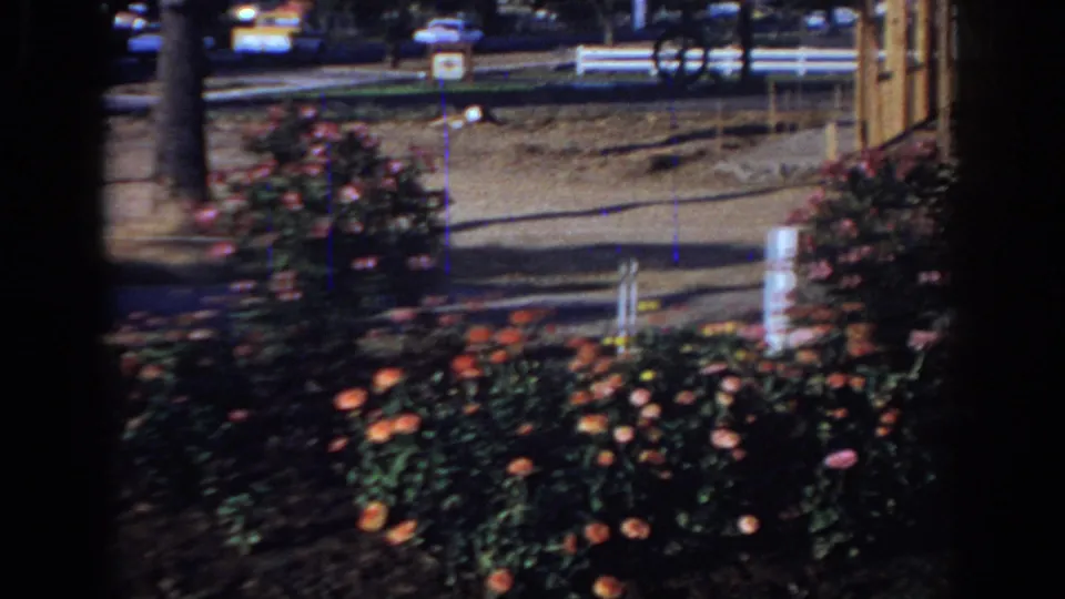 1966 Sacramento 8mm frame of garden roses and a sidewalk with passing cars blurred behind the dark window frame.