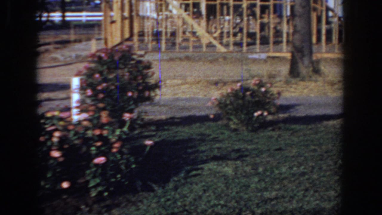 1966 Sacramento-area 8mm frame showing rose bushes, grass, a tree, and exposed wooden house framing beyond a yard.