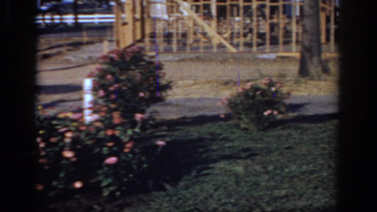 Flowering bushes and grass framed by a dark vertical window edge, with wooden construction in the background.