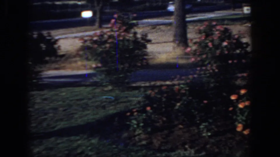 Soft 8mm frame from Sacramento showing a shaded yard with roses, grass, tree trunks, and possible distant roadside activity.